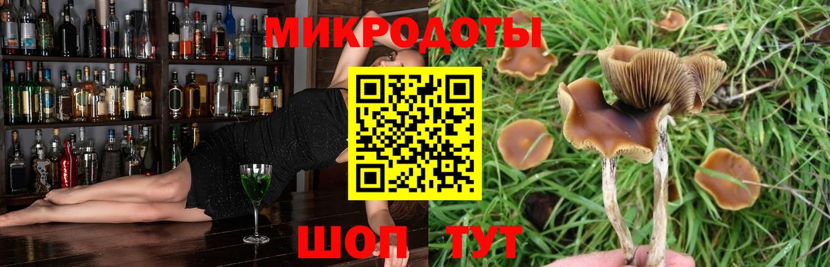 Галлюциногенные грибы мицелий Славгород