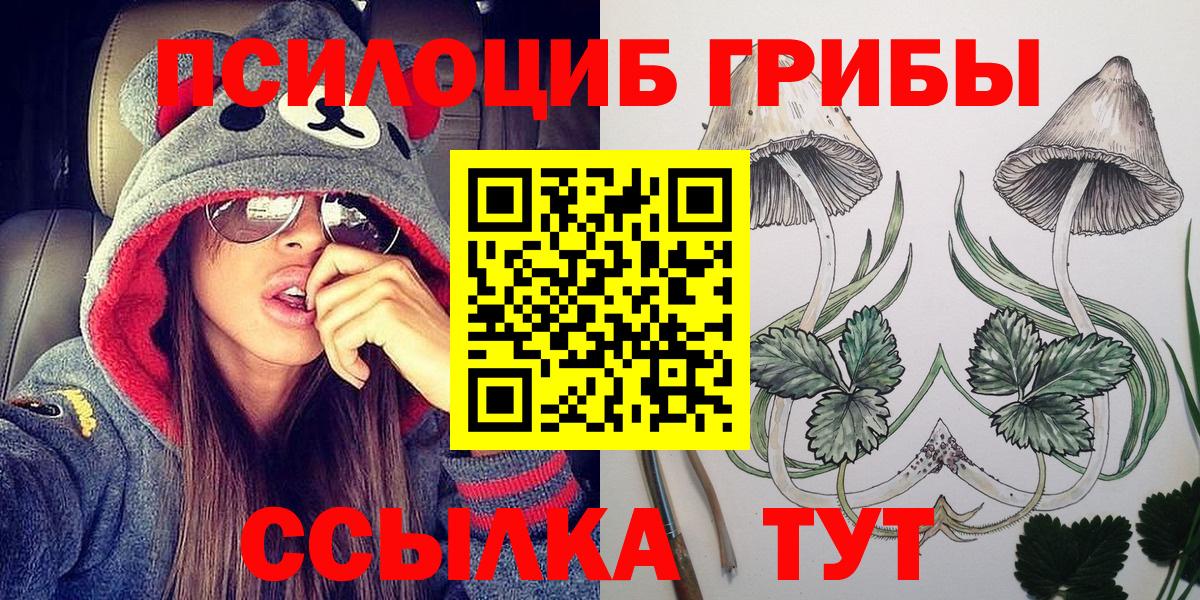 Славгород  Псилоцибиновые грибы Cubensis  Вход с VPN 